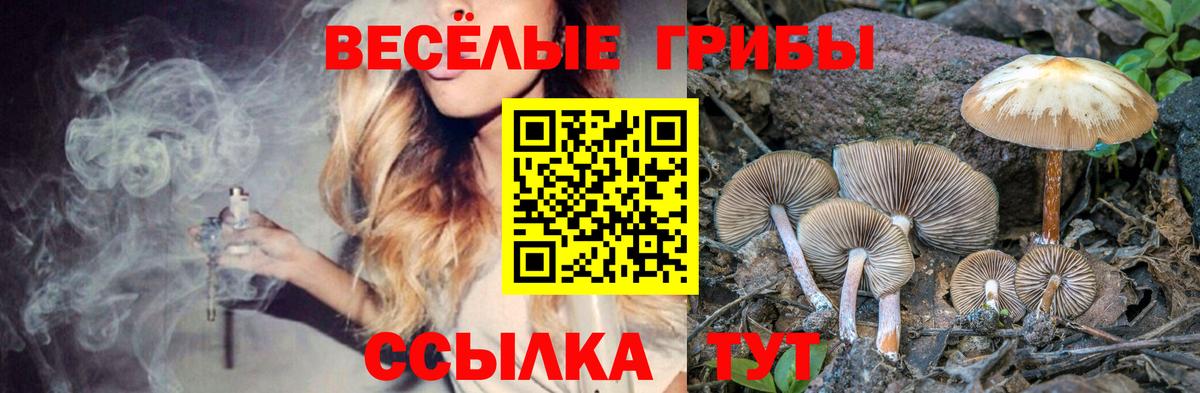Псилоцибиновые грибы Magic Shrooms  Вход с VPN  Можга 