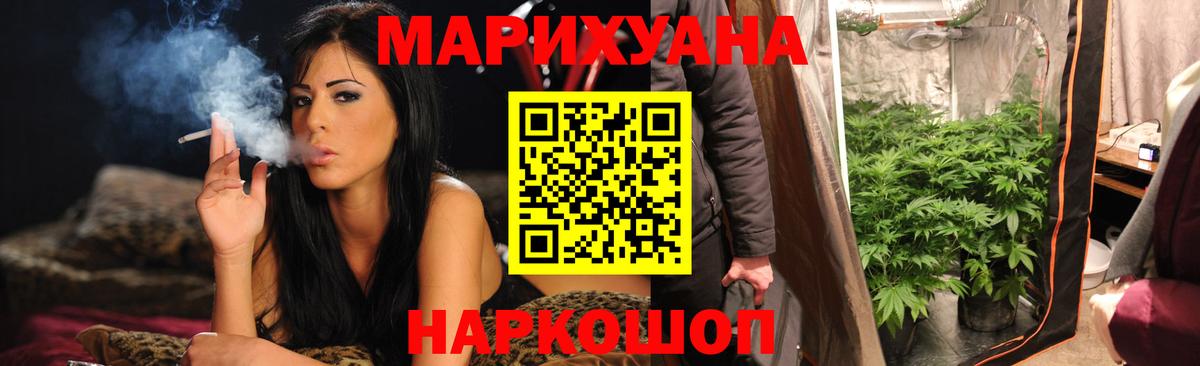 Шишки марихуана сатива  Канабис план  Можга  Вход с VPN  Каннабис Bruce Banner 